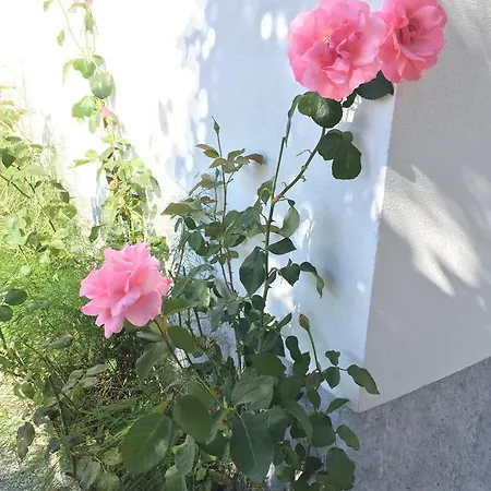 Casinha Da Vila Arcos de Valdevez Esterno foto